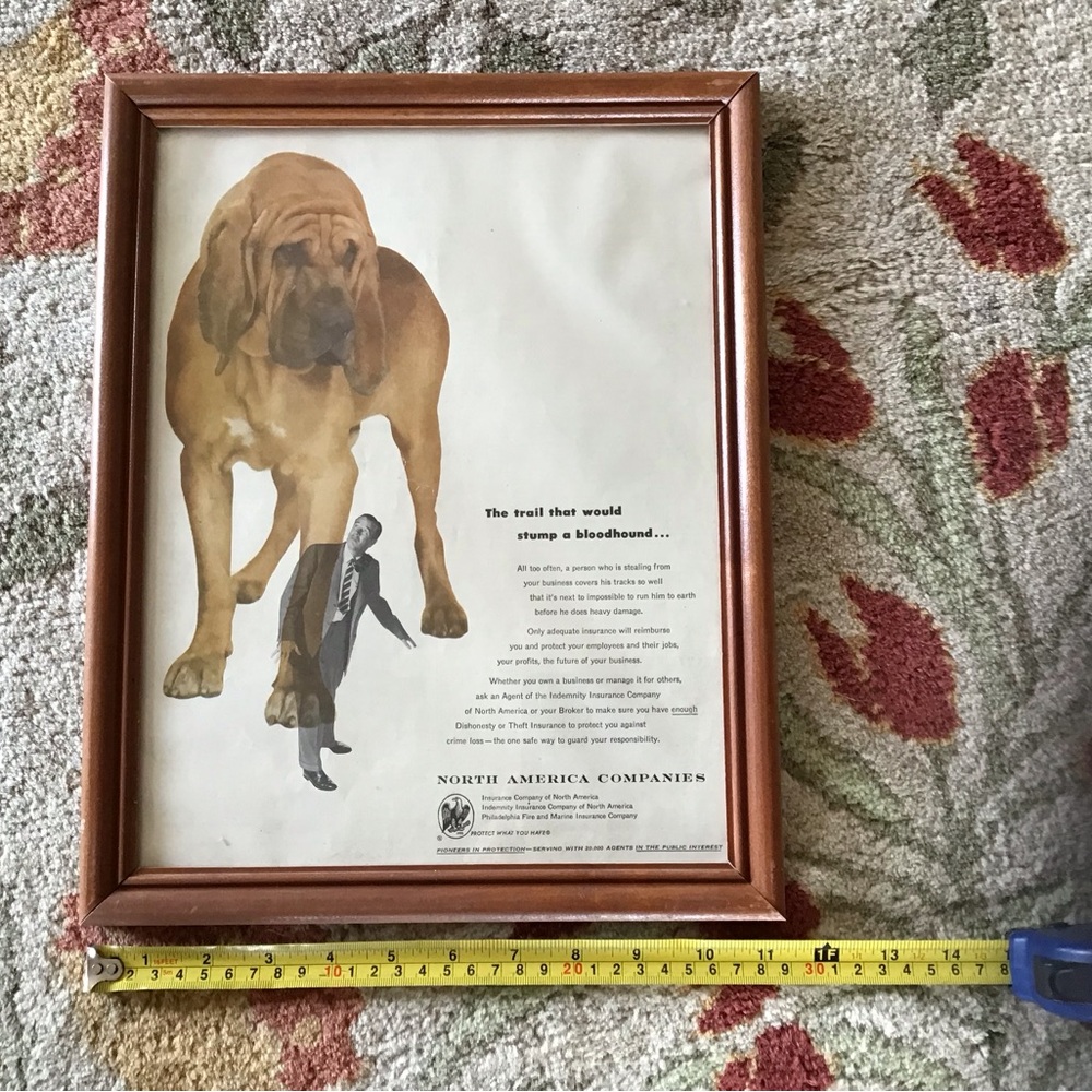 Vintage advertisement with Bloodhound, framed